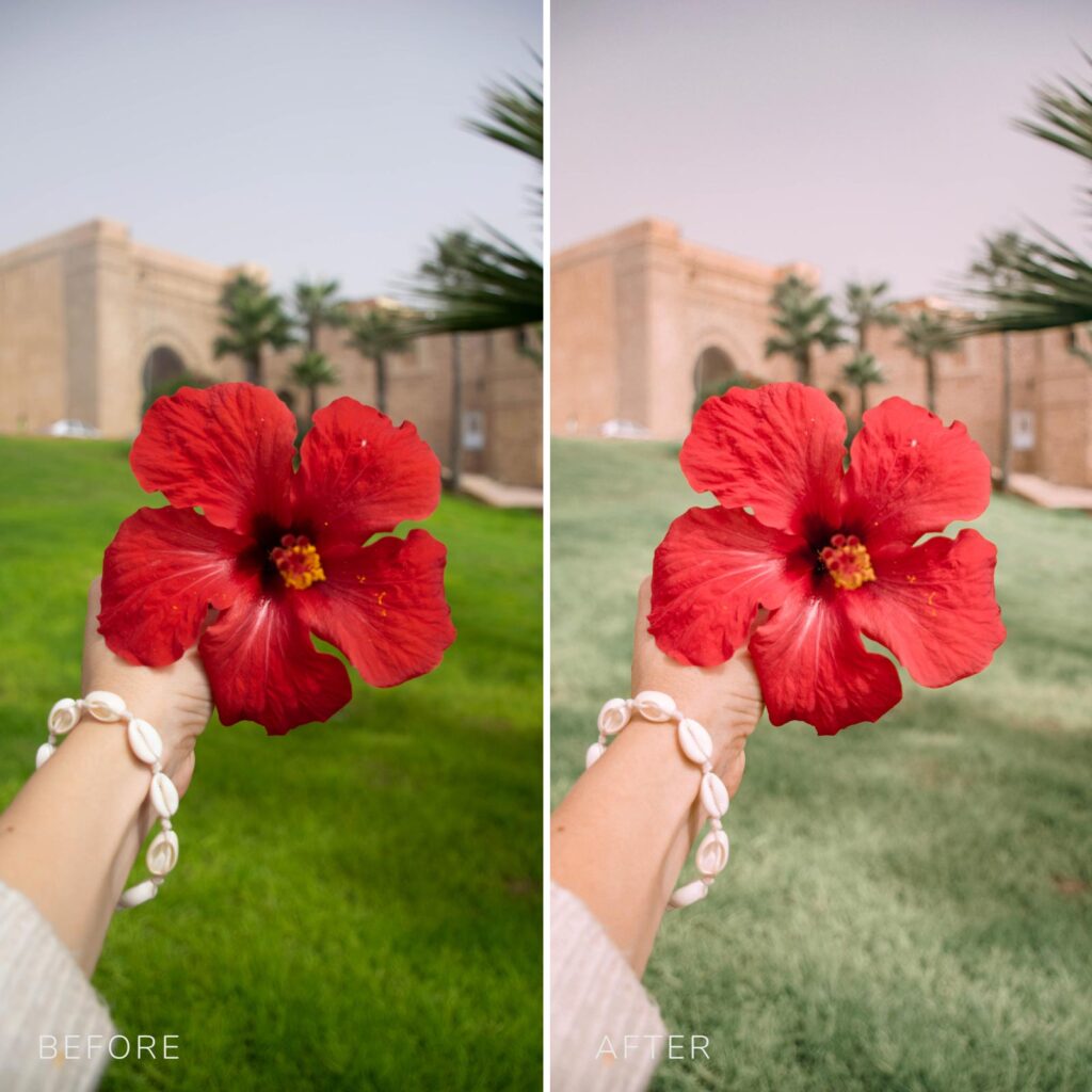 Morocco Collection -MOBILE & DESKTOP- - Image 4
